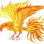 fenix